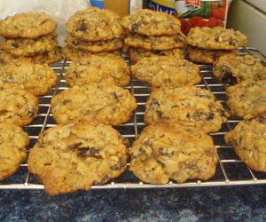 Hemp Granola Seed Cookies
