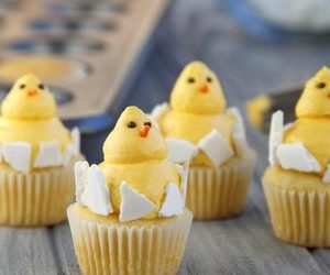 Baby Chick Cupcakes