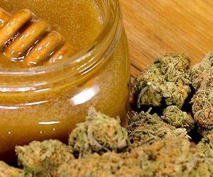 How To Make Magical Cannabis Honey