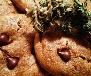 Almond Butter Cannabis Cookies, Gluten-free — Steemit