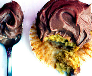 Yellow Squash Cupcakes with Chocolate Frosting Recipe