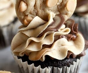 Chocolate Peanut Butter Cupcakes recipes