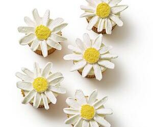 Daisy Cupcakes