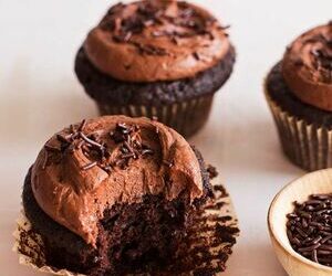 Double Chocolate Cupcakes